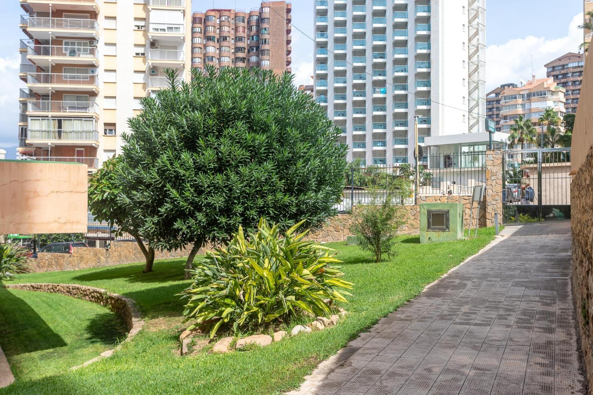 Apartamento Frente Al Mar 베니돔 외부 사진